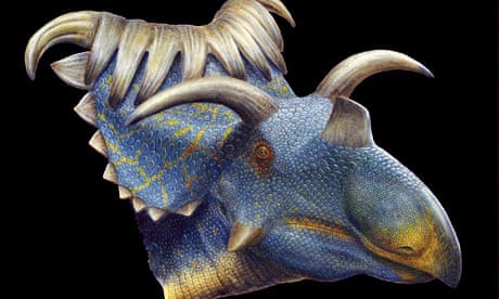 Kosmoceratops horned dinosaur