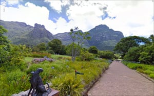 Google Streetview Global: Google streetview - Kirstenbosch National Botanical Garden, Cape Town
