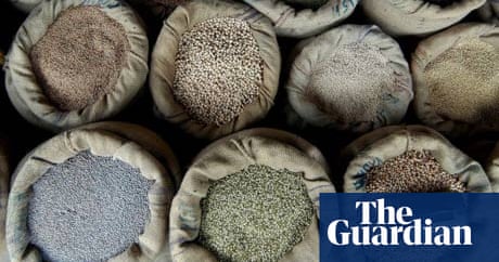 In India The Granaries Are Full But The Poor Are Hungry India The Guardian In India The Granaries Are Full But The Poor Are Hungry India The Guardian