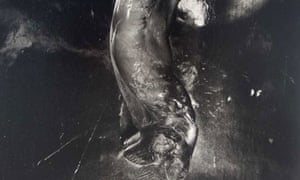 Shomei Tomatsu: the man who changed Japanese photography for ever