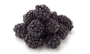 seasonal food blackberries food