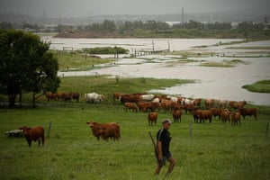 Floods in Australia: Flooded paddocks in the suburb of Bald Hills, north of Brisbane