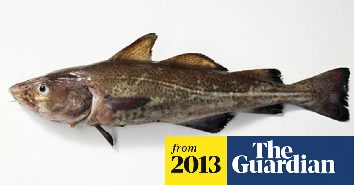 The stealth tax that says to hell with North Sea cod stocks