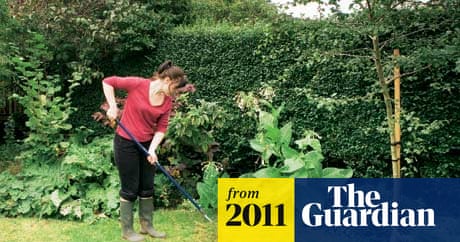 Is Mowing Lawn Necessary for Eco Lawns: Essential Green Tips