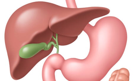 Proven Tips On How To Keep Your Gall Bladder Healthy