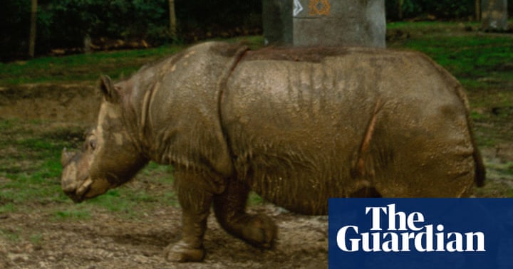 java jobs australia Which do left, how we have rhinos and many? Environment java jobs australia Which do left, how we have rhinos and many? Environment