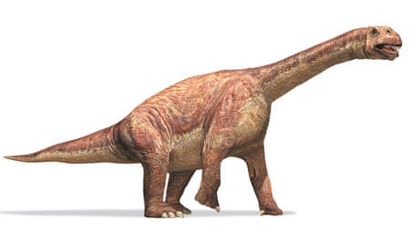 The sauropod dinosaur Camarasaurus