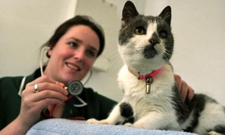 Is Pet Insurance Worth It Pet Insurance The Guardian