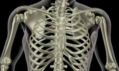 Wide Rib Cage Vs Normal Skeleton Picture
