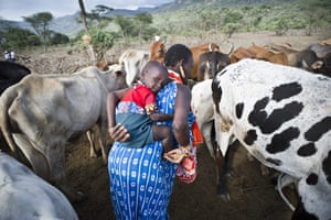 Climate change in Kenya: Maasai pastoralists living near the Tanzanian border Kojiado District Kenya