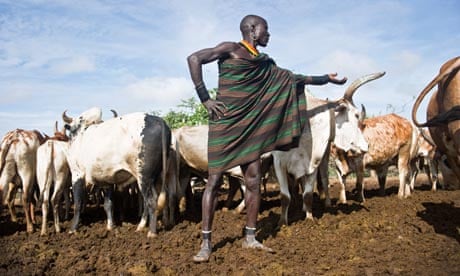 Moding Ngolapus, a Jei herder in north-east Uganda, with cattle.