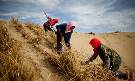 https://i.guim.co.uk/img/static/sys-images/Guardian/Pix/pictures/2011/11/28/1322473270529/Chinese-farm-workers-007.jpg?width=465&dpr=1&s=none