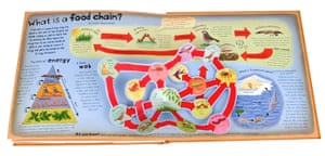 How The World Works: How The World Works - food chain