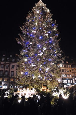 Christmas Trees: Christmas trees from around the world