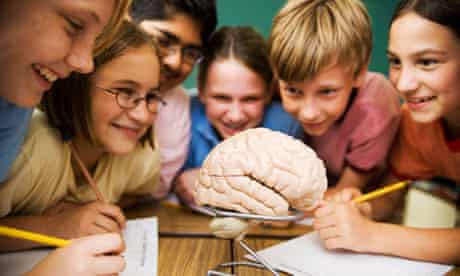 School pupils studying the human brain
School pupils studying the human brain.
