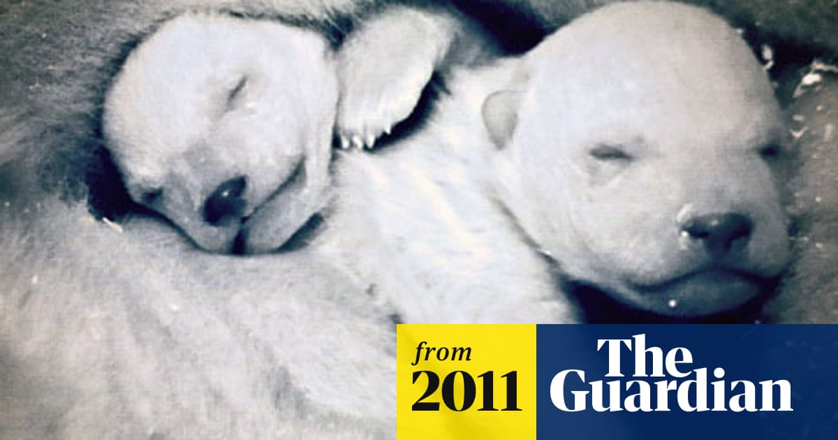 7 EARLY MORNING PRE WORKOUT MEAL IDEAS Source: onlinefitnessgym.com
My go to for a post meal after a morning session is normally 2 slices of white toast with 2 over easy eggs and some melted cheddar cheese on top, usually paired with a small glass of oj. Scrambled eggs, kale, 1 cup raspberries. What does rich froning use to fuel his workouts? The crossfit games champ gives the most.
![