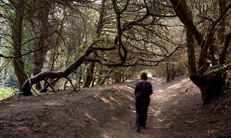 A woman walks through a forest