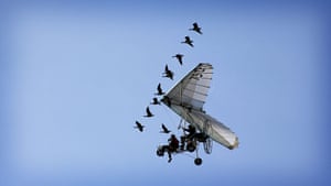 Earthflight: TV programme on Birds in flight around the world shown by BBC