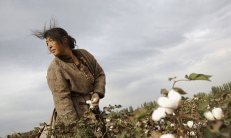 300 cotton growers trained to boost yield