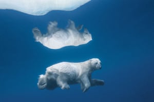Extreme Exposure: Polar bear swim submerged in Nunavut, Canada