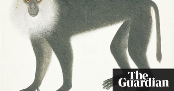 Watercolour at Tate Britain – in pictures | Art and design | The Guardian