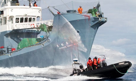 Yushin Maru No. 3 and Sea Shepherd activists 