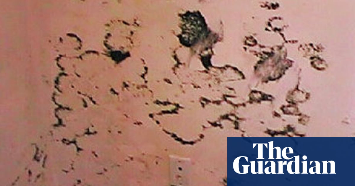 Space Solves A Mouldy Wall Diy The Guardian