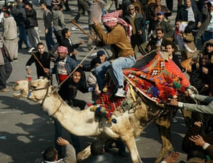 Clashes in Egypt day 9: A supporter of embattled Egyptian president Hosni Mubarak rides a camel