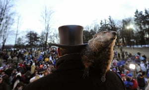 Groundhog Day: Crowds Gathering On Groundhog's Day