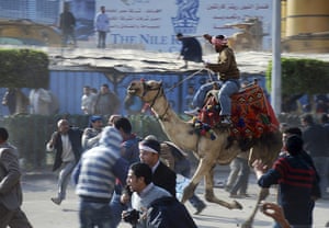Egypt clashes day 9: A supporter of President Hosni Mubarak, on a camel, fights 