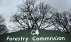 Forestry Commission 