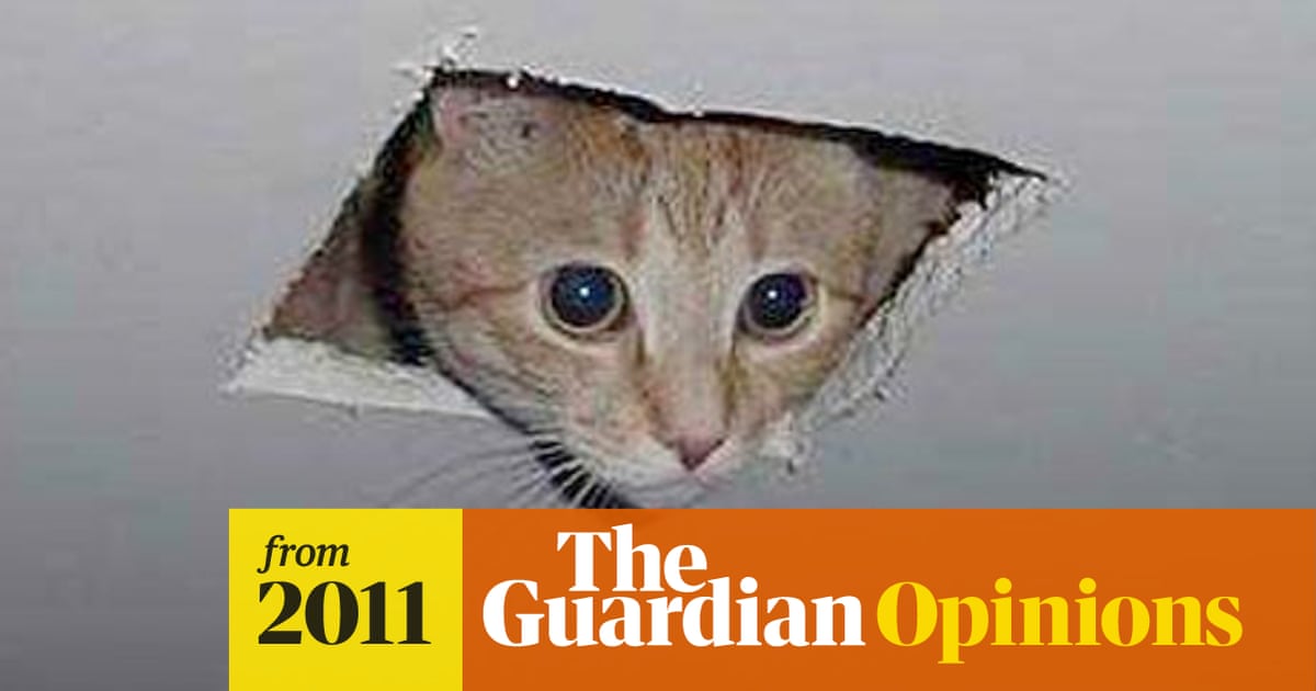 A Great Internet Meme S Never Gonna Give You Up Internet The Guardian
