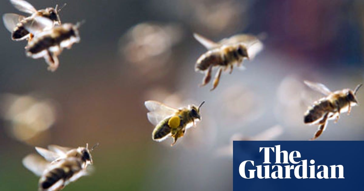 How Bee Health Is Creeping Up The Corporate Agenda At Bayer