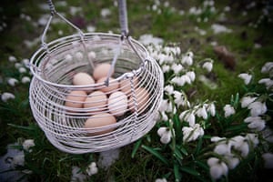 In pictures: rebirth: eggs in one basket