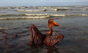 has bp really cleaned