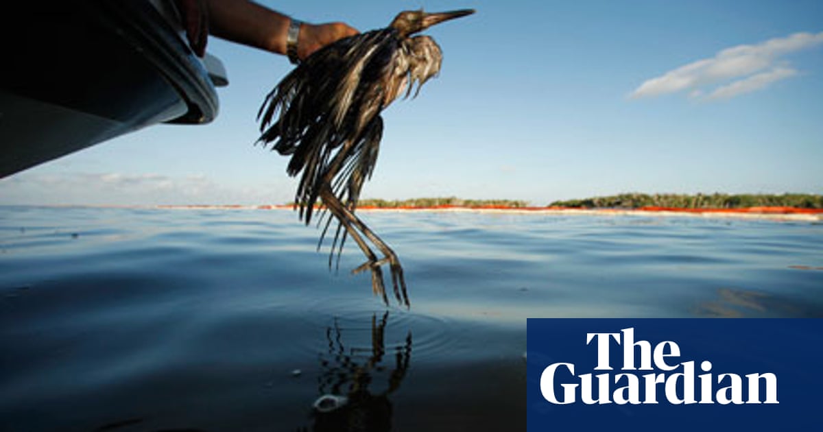 Bp S Pr Campaign Fails To Clean Up Reputation After Gulf Oil Spill Deepwater Horizon Oil Spill The Guardian
