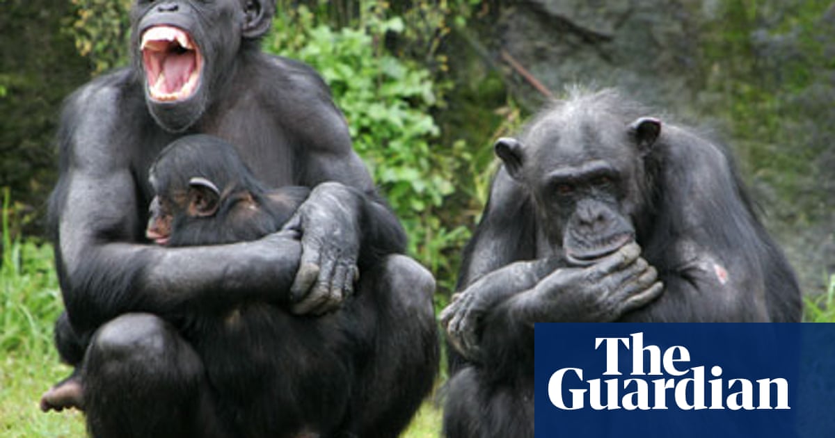 Download The Untold Story Of Evolution Science The Guardian Desktop Wallpaper Wallpaper The Untold Story Of Evolution Science The Guardian For Android Free