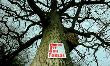 Forest of Dean was Under Threat From The Forestry Commission Sell Off