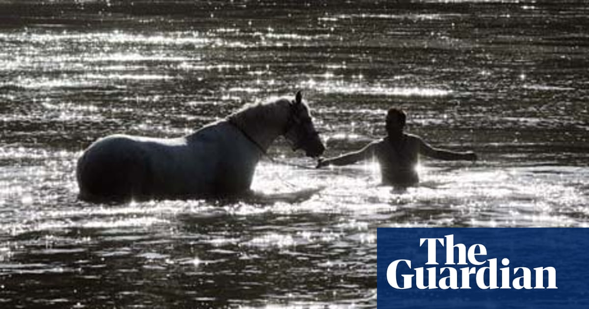 Slot machines dumped in river basin Slot machines dumped in river basin