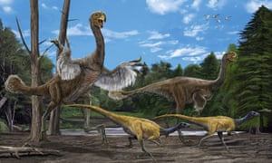 Dinosaur City: Dinosaur discoveries in China