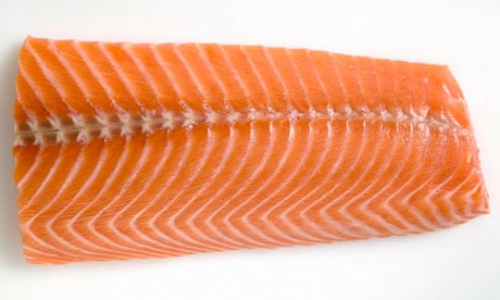 A fillet of salmon