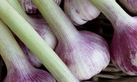 Alys Fowler: Green garlic, Gardens