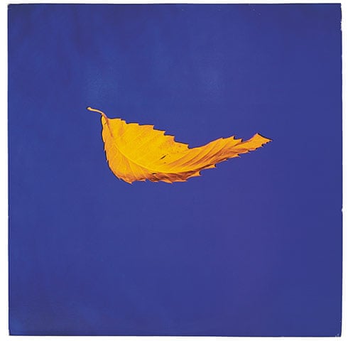 Peter Saville On His Classic Joy Division And New Order Artwork Music The Guardian Peter Saville On His Classic Joy Division And New Order Artwork Music The Guardian