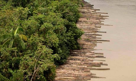 Confiscated illegally logged timber floats down the Guam river delta in Para, Brazil