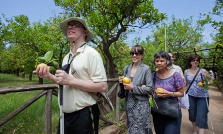 The Traveleyes tour group visits a lemon grove in Sorrento.