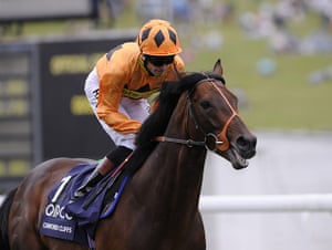 Glorious Goodwood : Canford Cliffs makes his way to the start for the Sussex Stakes
