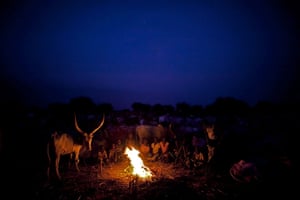 South Sudan: Small arms and cattle-raiding