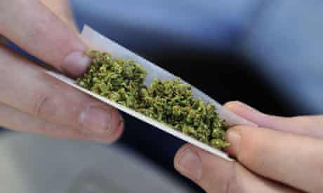 A man rolls a cannabis joint