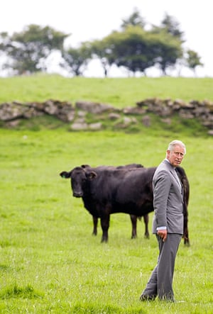 Prince Charles: Prince Charles visits Tor Royal Farm
