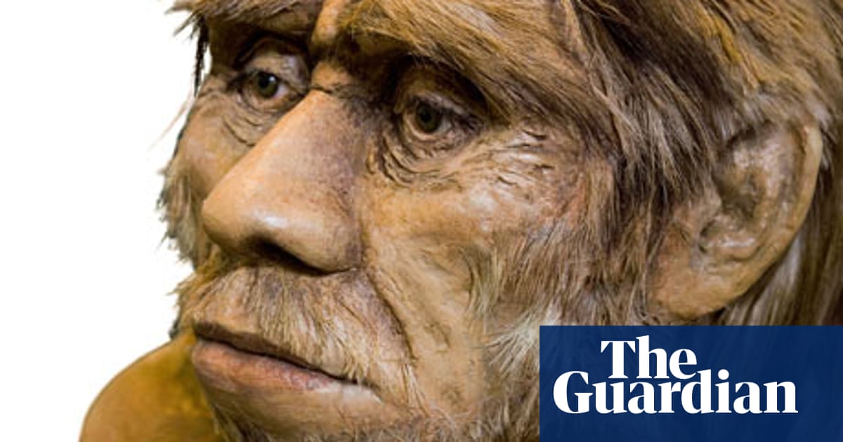 The Downside Of Sex With Neanderthals Neanderthals The Guardian